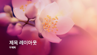 각종 기념일|벚꽃 자연 프레젠테이션(와이드스크린)